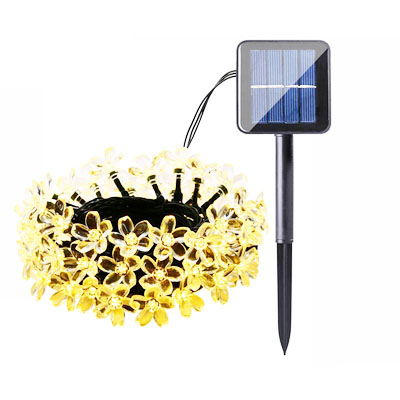 Solar Japanese Cherry